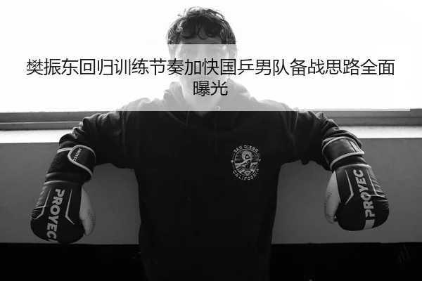 樊振东回归训练节奏加快国乒男队备战思路全面曝光